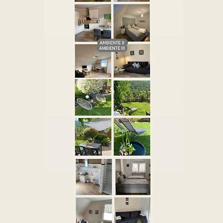 Ferienwohnung Ambiente II Und III Klotten Eksteriør billede