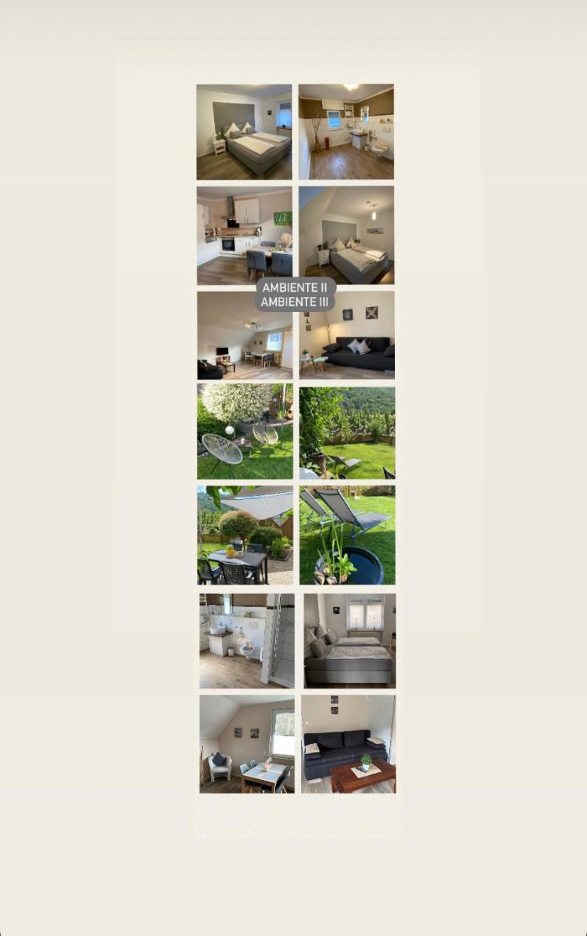 Ferienwohnung Ambiente II Und III Klotten Eksteriør billede